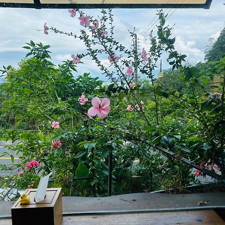 大方茶葉民宿 番路乡 外观 照片