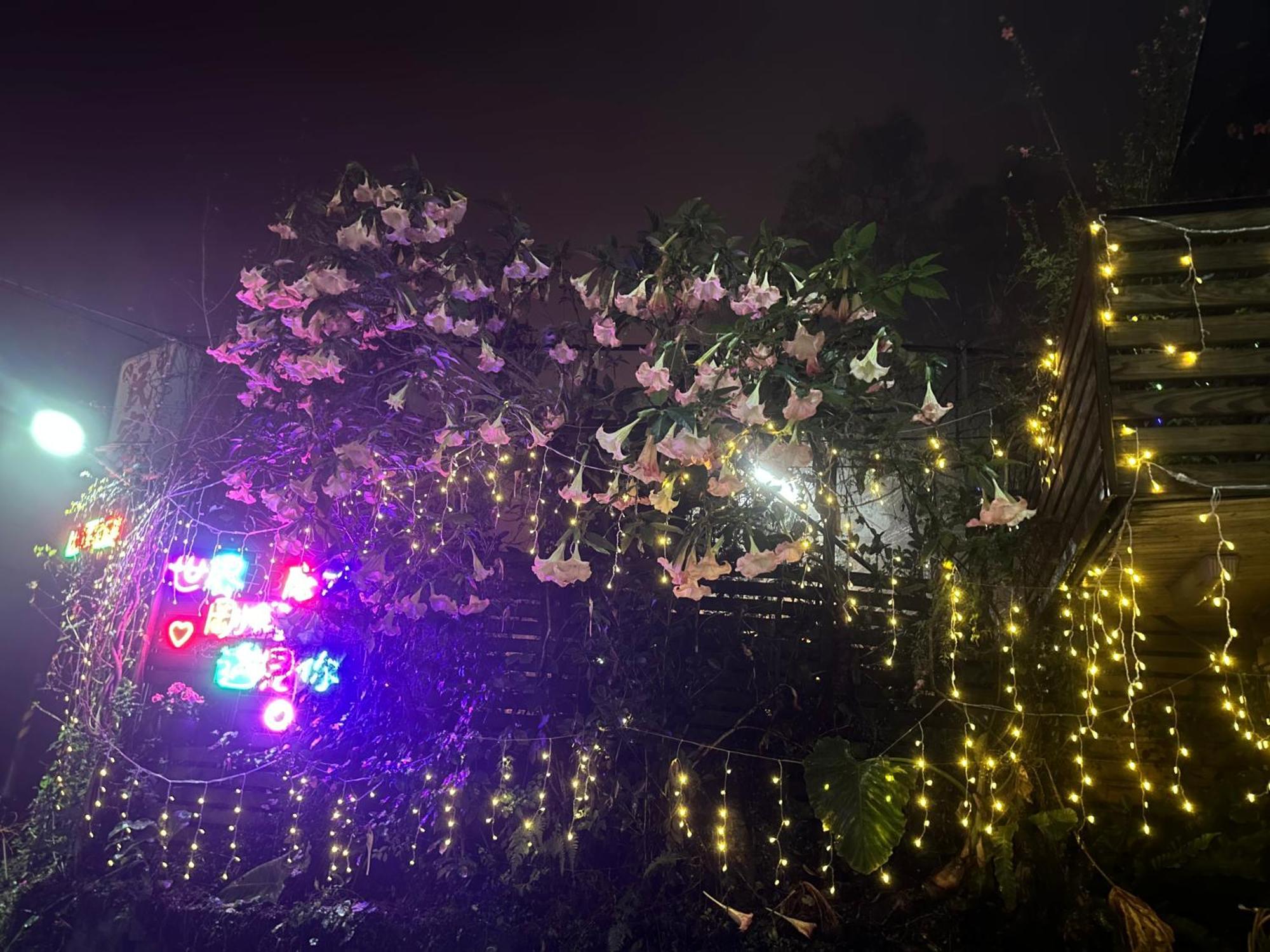 大方茶葉民宿 番路乡 外观 照片