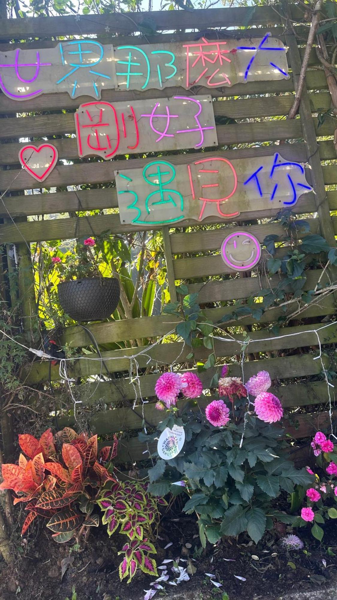大方茶葉民宿 番路乡 外观 照片